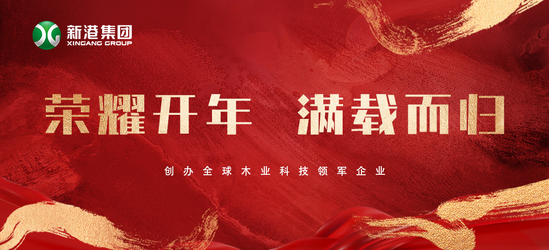 2025喜訊頻傳！新港集團榮膺多項大獎，再獲行業認可！