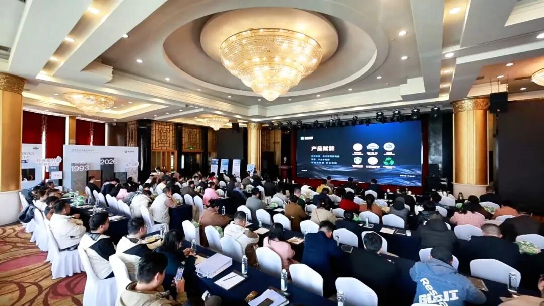一場會議揭秘新港2026核心打法：回歸本質，鑄就“環保+美學”的綜合價值競爭力